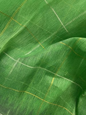 Organza popular | Sage Green Checked | Kanchi Border in Black | Semi