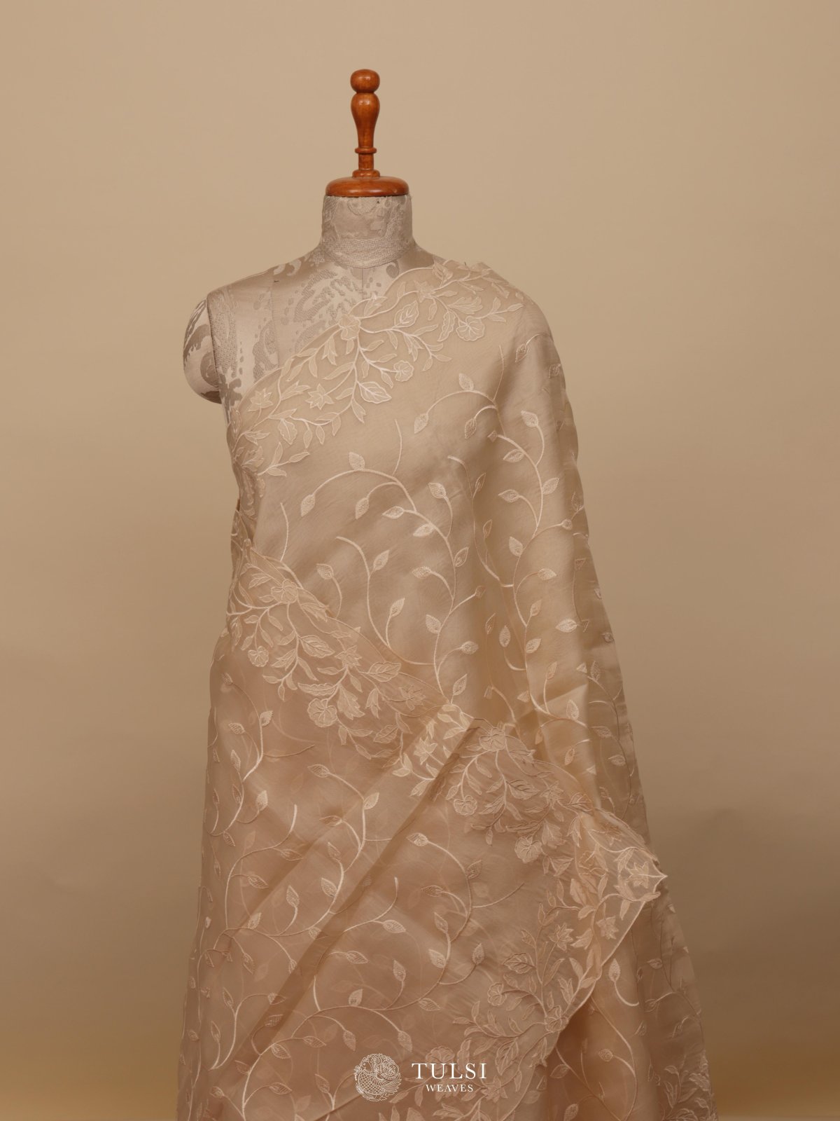 Light Beige Organza Embroidery Saree